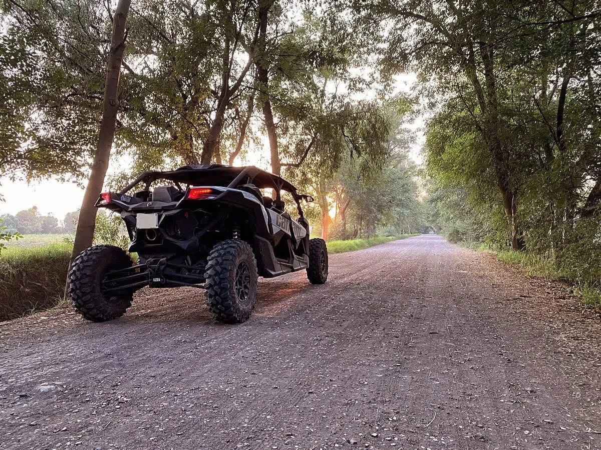 Vehículo SXS estacionado en un camino rodeado de árboles