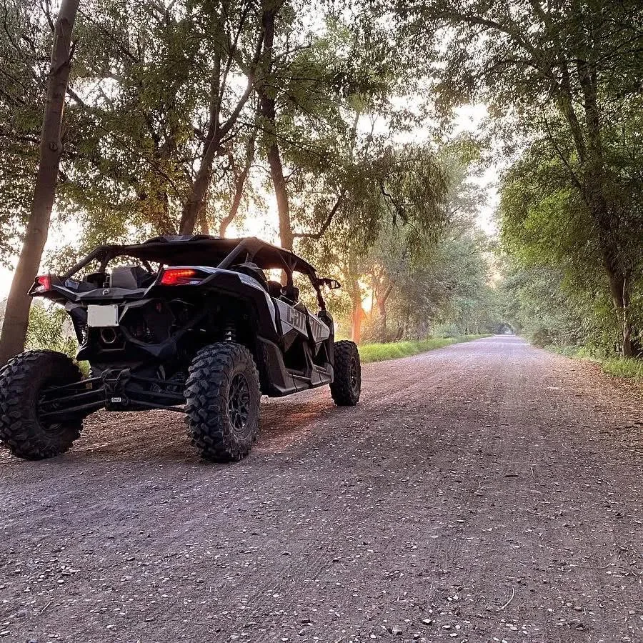 Vehículo SXS en un camino arbolado al atardecer